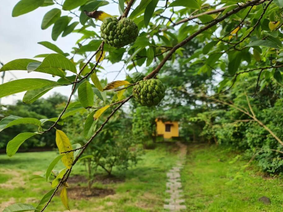Sohana Eco Retreat Farmhouse - Karjat Chinchavli Eksteriør bilde