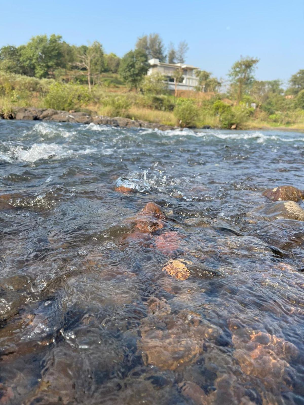 Sohana Eco Retreat Farmhouse - Karjat Chinchavli Rom bilde